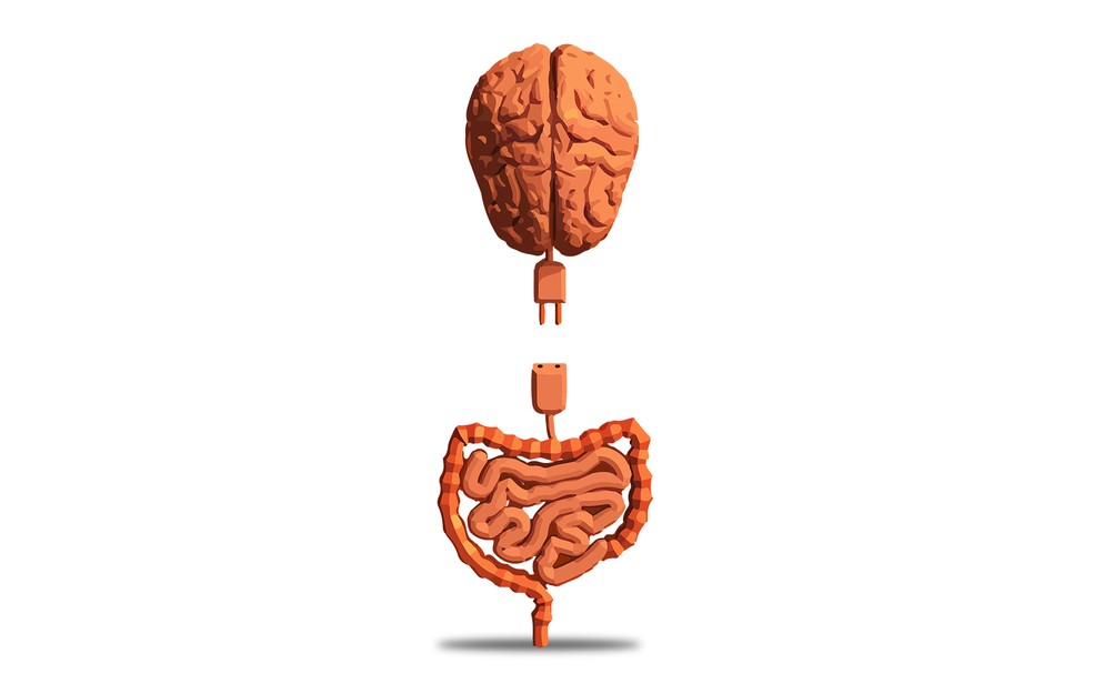 Sistema Nervoso Entérico - o segundo cérebro que sente